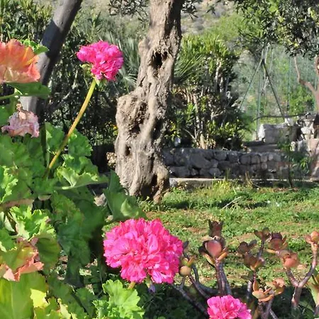 Casale Degli Ulivi *