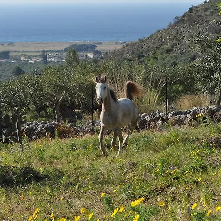 Casale Degli Ulivi Casa vacanze