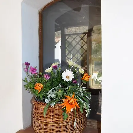 Casa vacanze Casale Degli Ulivi